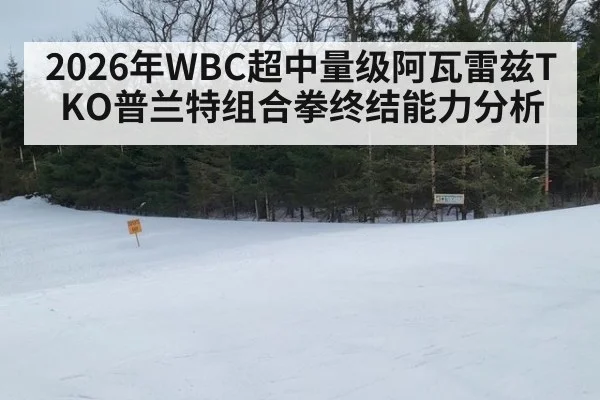 2026年WBC超中量级阿瓦雷兹TKO普兰特组合拳终结能力分析